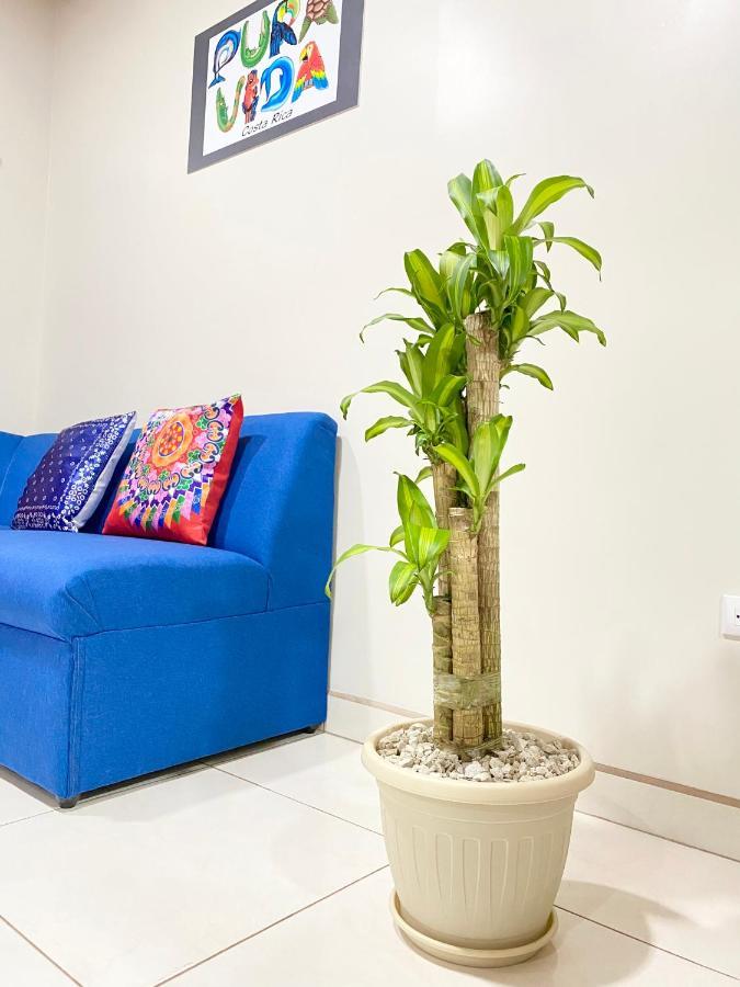 ألاخويلا Pura Vida Apartment. 5 Min From Airport المظهر الخارجي الصورة